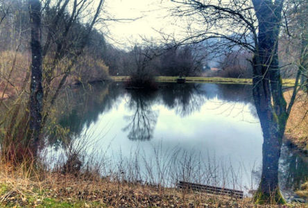 Sielbachweiher